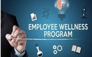 What to expect from a corporate wellness program?